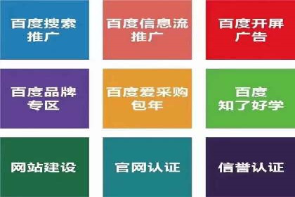 行业领先企业背后的信息流代运营案例